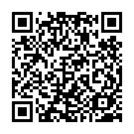 QR code for 991-DEM