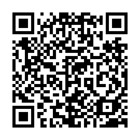 QR code for 991NAI