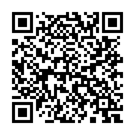 QR code for 991OZI