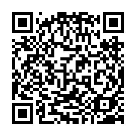QR code for 991RAI