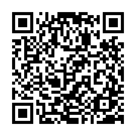 QR code for 993LDS