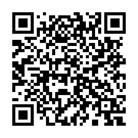 QR code for 993MSR