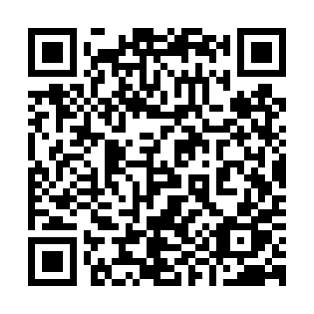 QR code for 993TPP