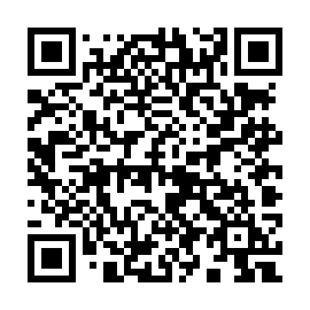 QR code for 994-LKI