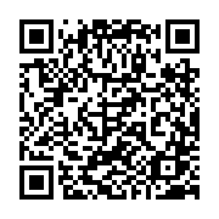 QR code for plate 994-SDS