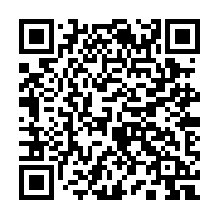 QR code for plate A00-PIB