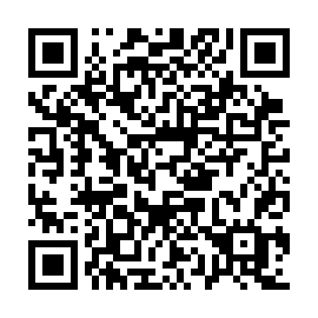 QR code for plate A13-CDG
