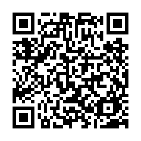 QR code for plate A28-GAG