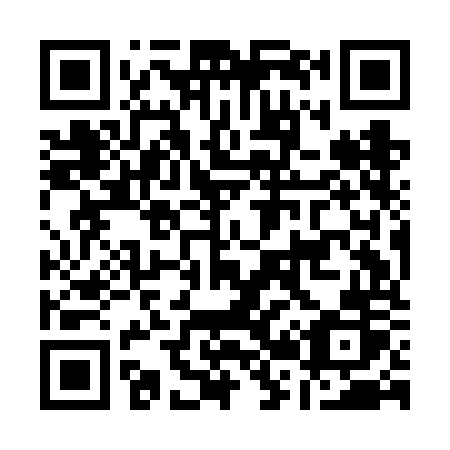 QR code for plate A29-FOR