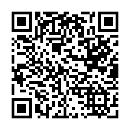 QR code for plate A33-PFM