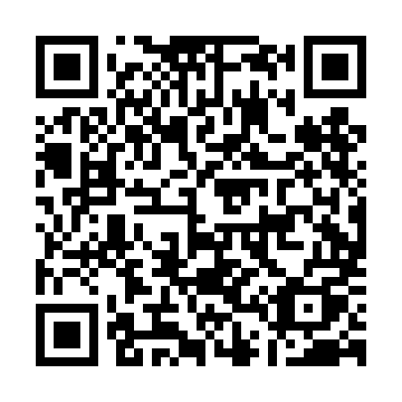 QR code for A40-DMQ