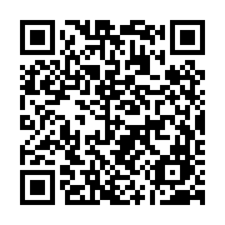 QR code for plate A53-PVN