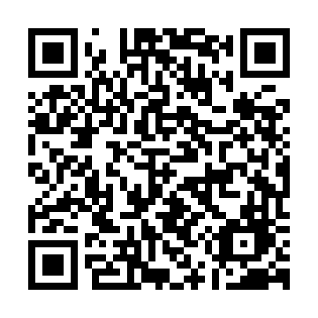 QR code for plate A58-IFD