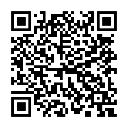 QR code for plate A99-LYS