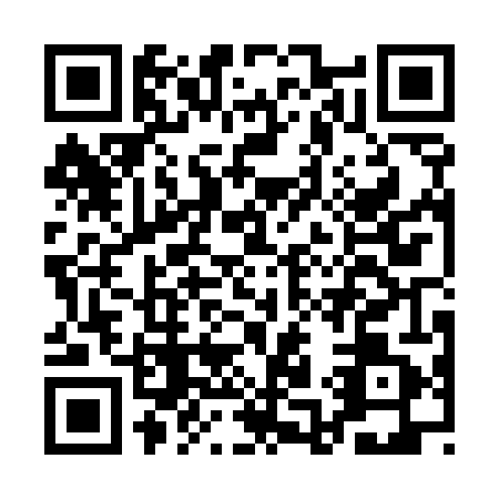 QR code for plate AA0-U417