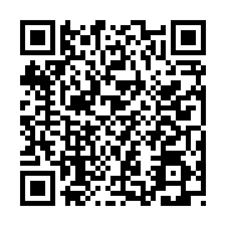 QR code for AA2X541