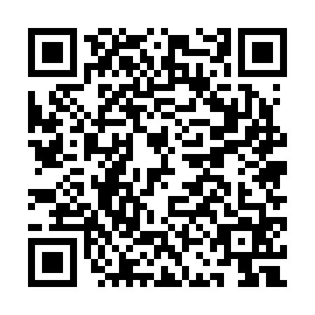 QR code for ACE-2645