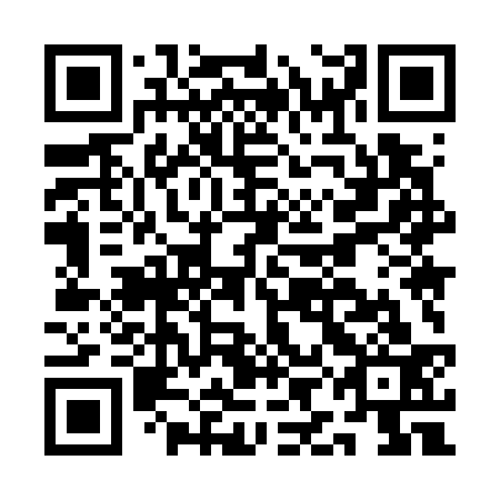 QR code for plate AIM-733
