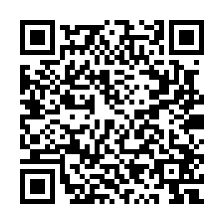 QR code for AY1-P425