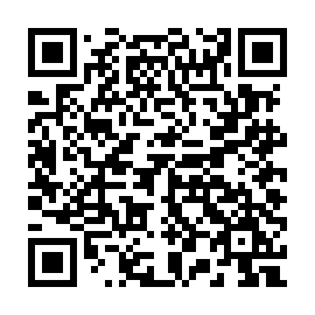 QR code for plate B04-MDM