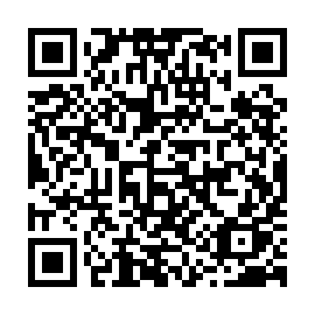 QR code for B11-QIP