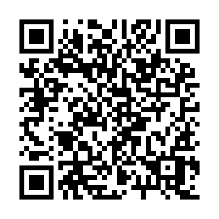 QR code for B19-IIV