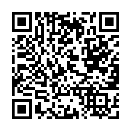QR code for plate B25-IZS