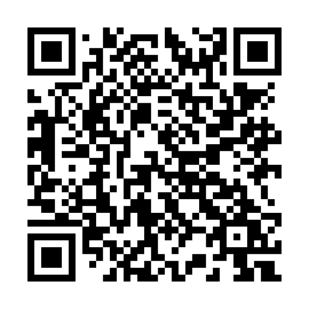 QR code for plate B29-NBW