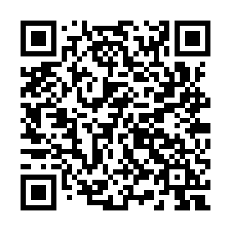 QR code for plate B33-YUI