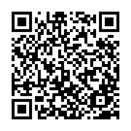 QR code for plate B38-HMV