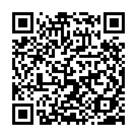 QR code for B91-HII