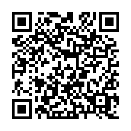 QR code for B91-XIF