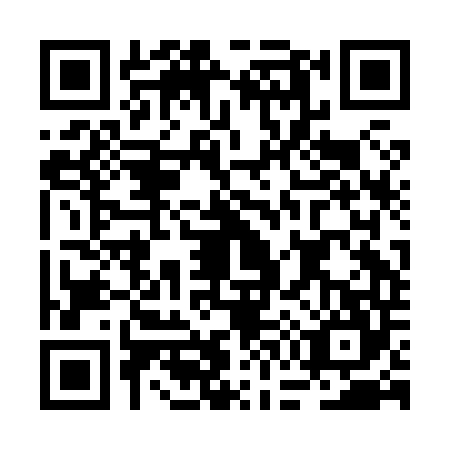 QR code for BG2-H447