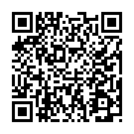 QR code for BG3-G455