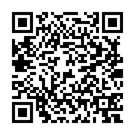 QR code for BG3-X302