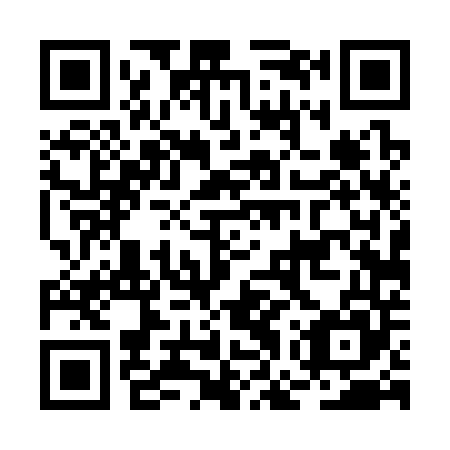 QR code for plate BGT-345