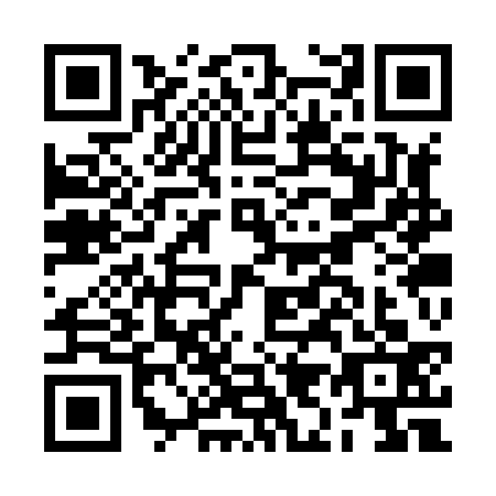 QR code for plate BI3-X335