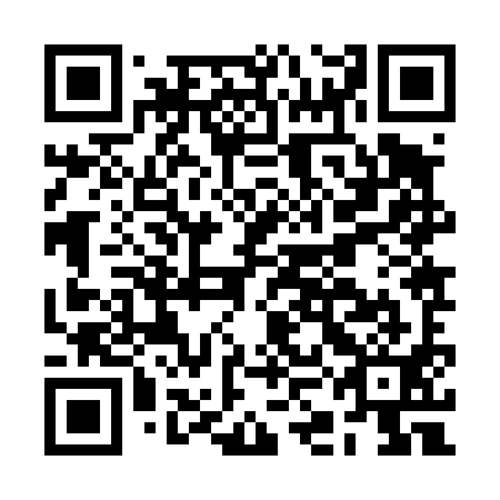 QR code for plate BKJ-491