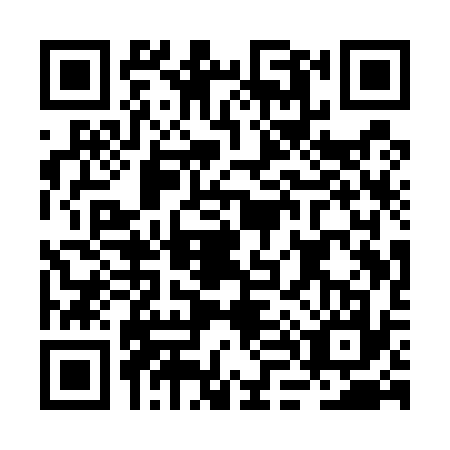 QR code for BL1U379