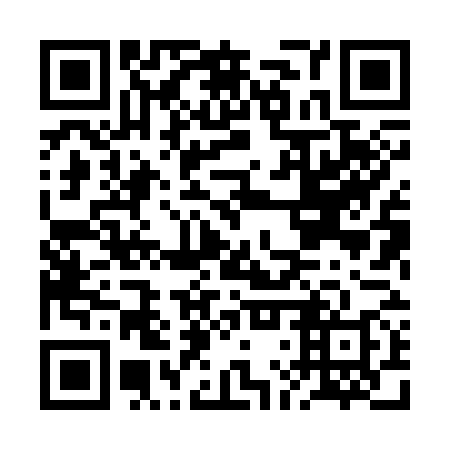 QR code for plate BLX-378