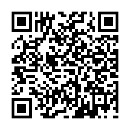 QR code for BN4-H219