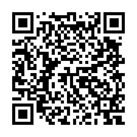 QR code for plate BNS-491