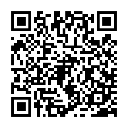 QR code for BOR-4028