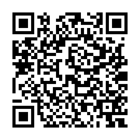 QR code for plate BP2-Q534