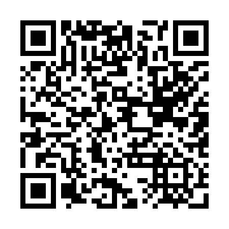 QR code for BSE-919
