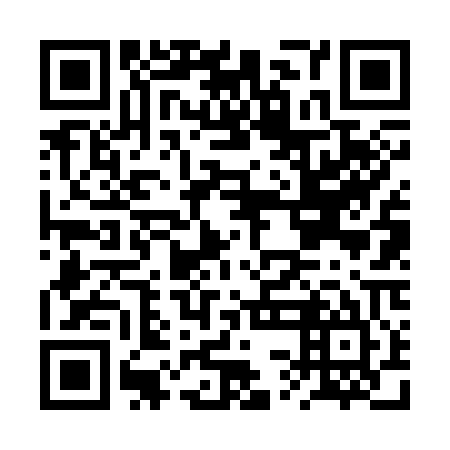 QR code for plate BSF-305