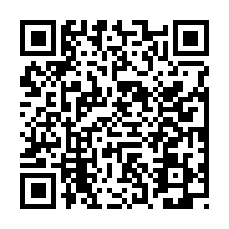 QR code for BSG-3291