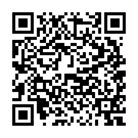 QR code for plate BSG-6913
