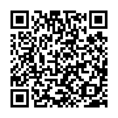QR code for plate BSP-699