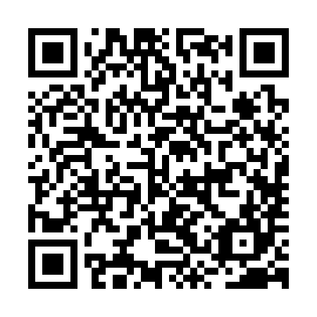 QR code for BSR384